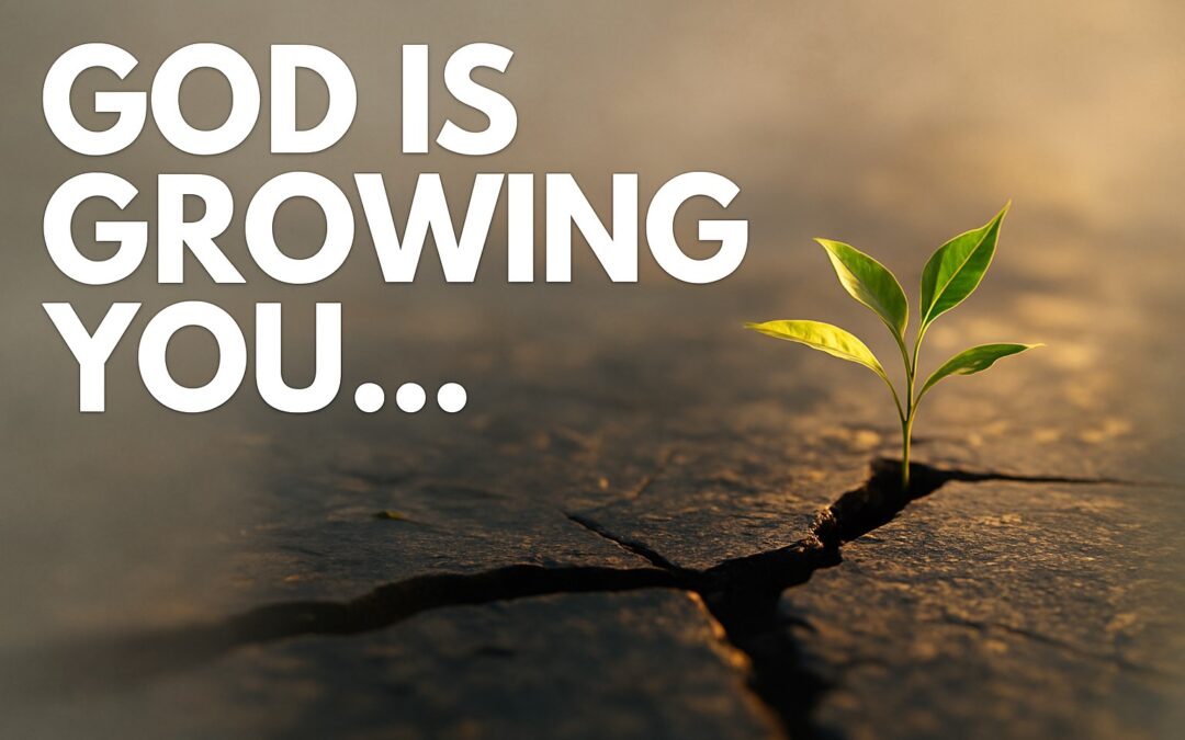 Growing Up In Christ